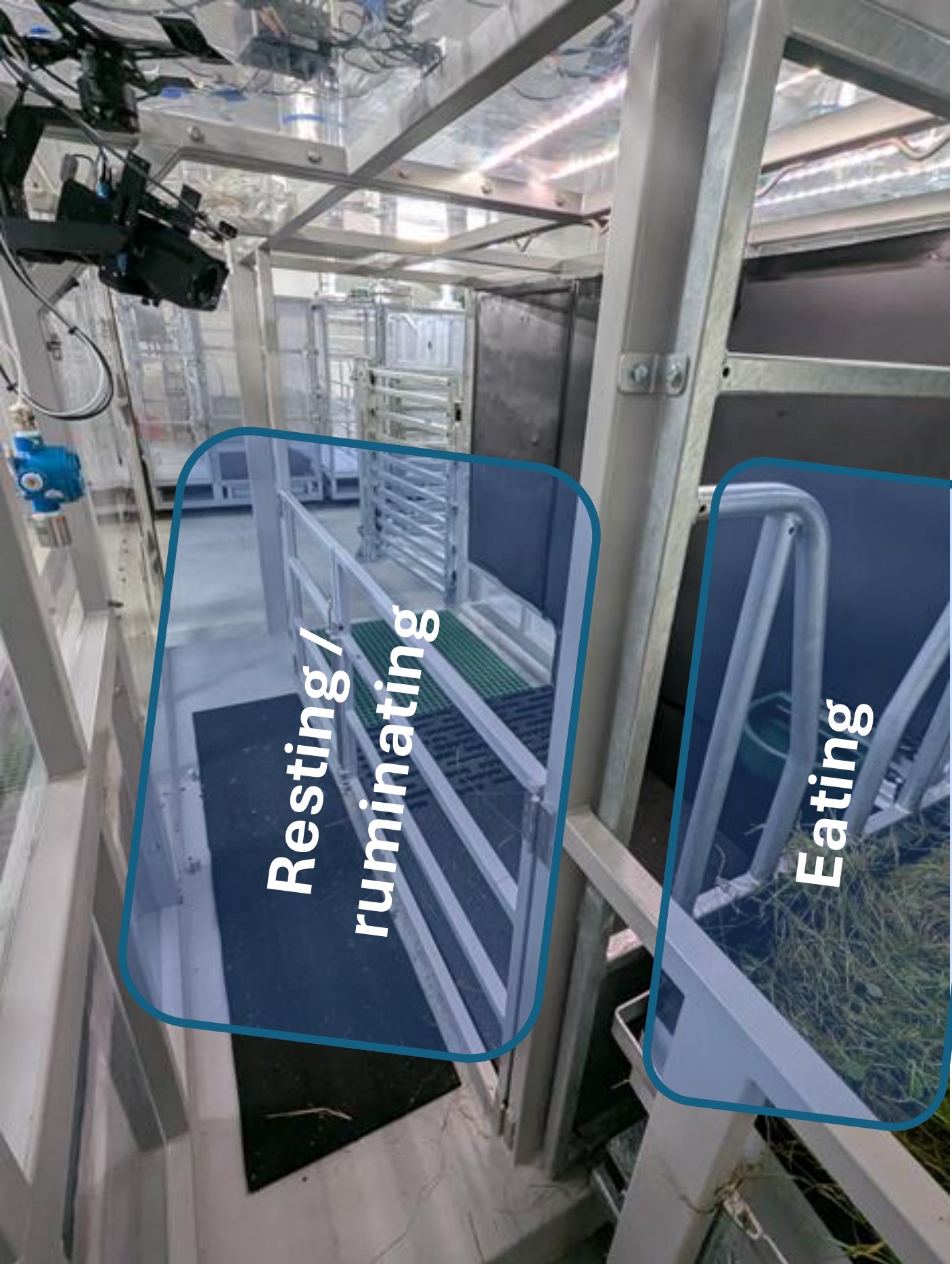 Chamber stall seen from the camera, with the resting and eating zones outlined.