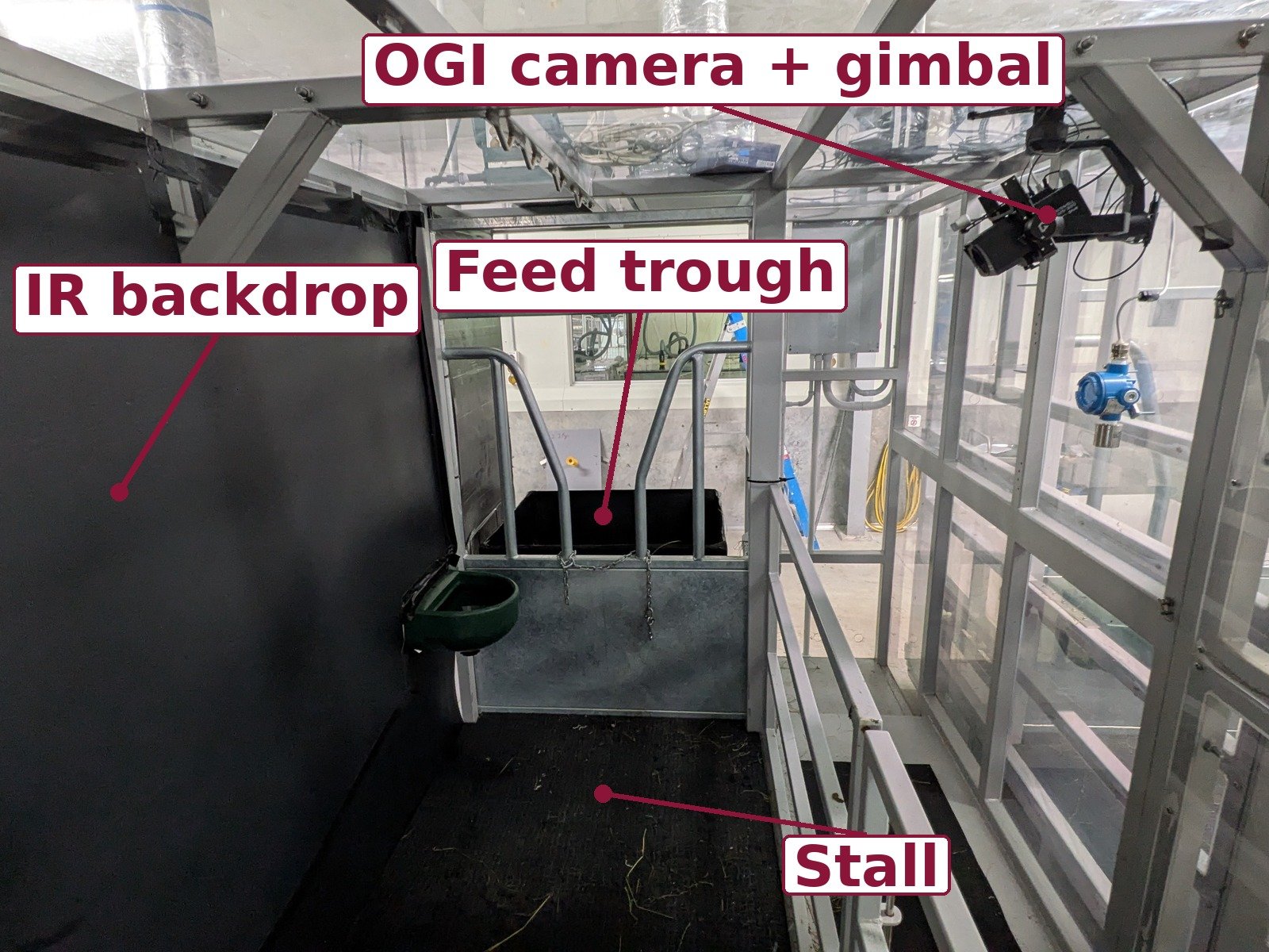 Inside an empty respiration chamber, labelled: the OGI camera on its gimbal under the roof frame, the matte black IR backdrop on the left wall, the feed trough behind the headgate, and the stall floor.