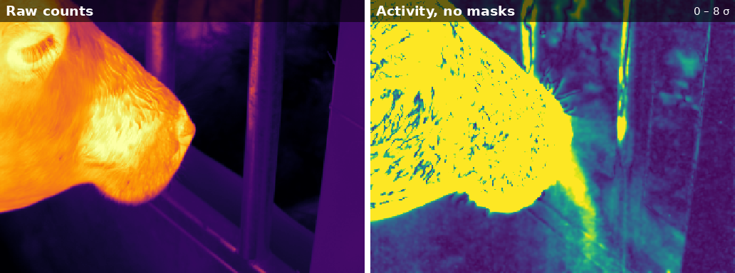 Raw frame next to its activity map without masks: the moving warm head and the rails reflecting it light up as strongly as gas.