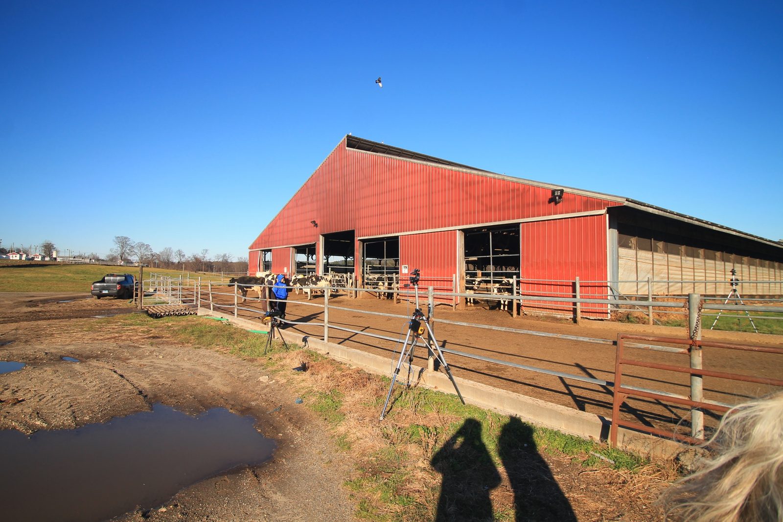 Red dairy barn at Fairvue Farms under a blue sky, with a camera tripod near the fence.