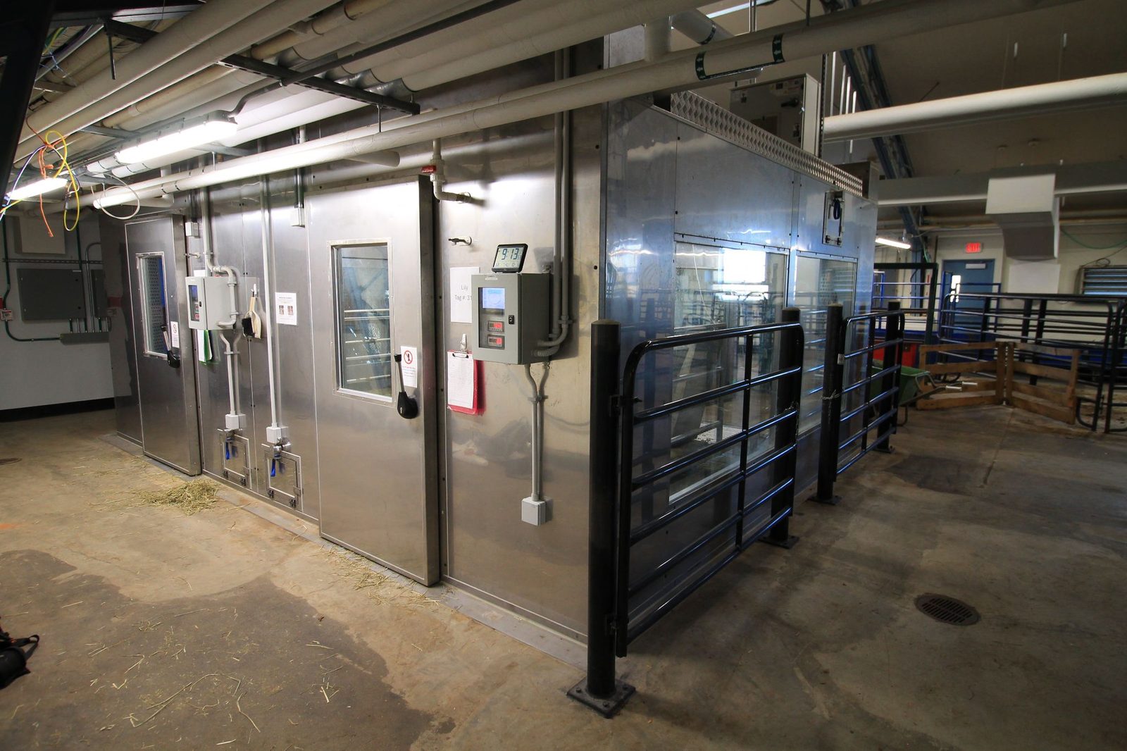 A row of stainless-steel respiration chambers with gated stalls.