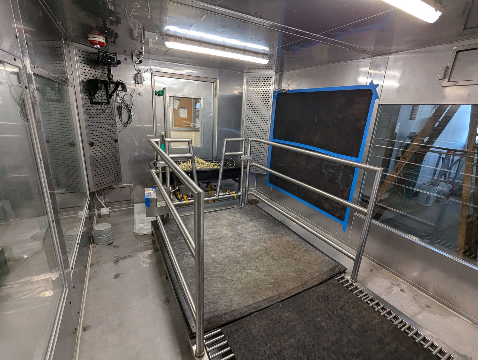 Inside a chamber: stall, feed trough, black infrared backdrop and the camera package on the wall.
