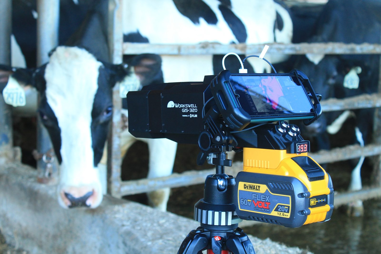 The mobile OGI platform on a tripod in front of cows at the feed bunk.